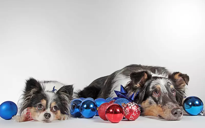 记住：人的一生你只欠两个人.....