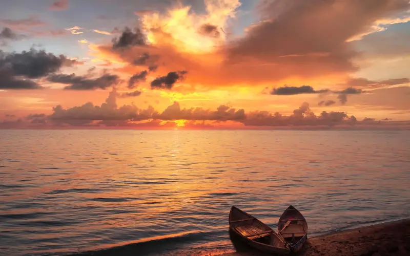 解救单身 | 单身粉丝推荐