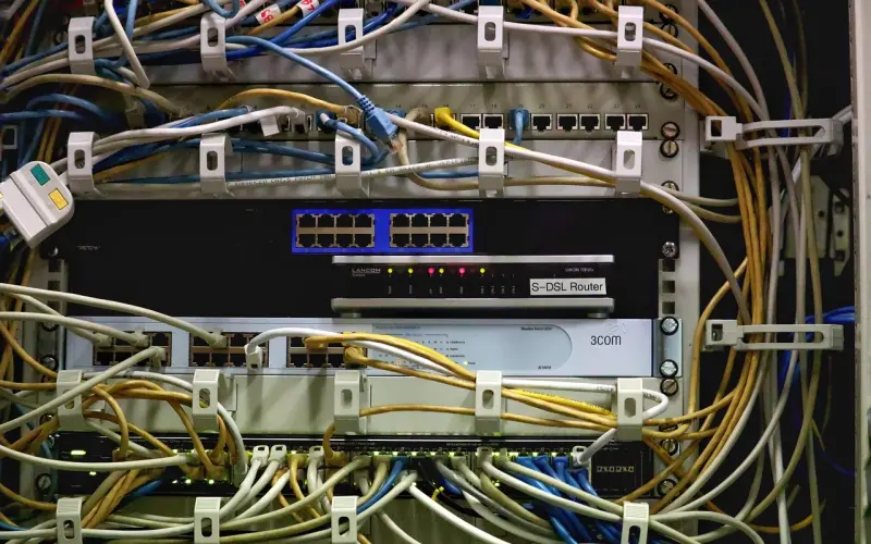 【解救单身】单身粉丝推荐