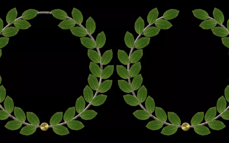 尊重别人，你就是赢家