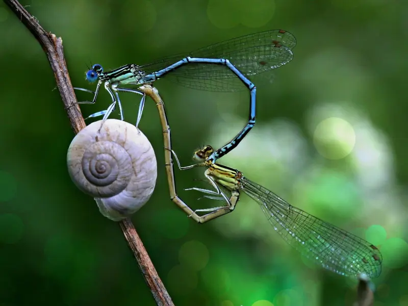 挽回爱情：如何对症下药挽回爱情