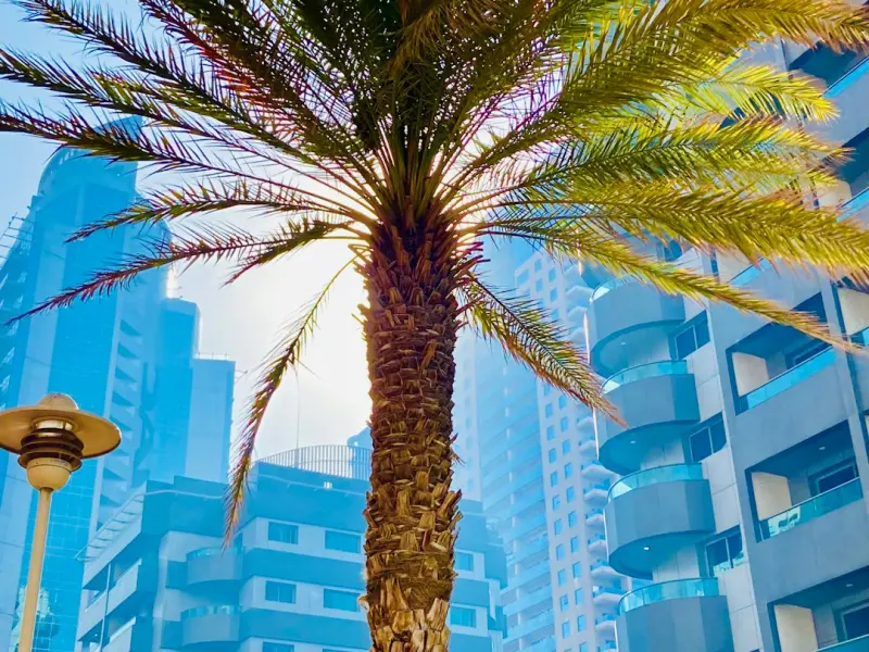 挽回爱情说：挽回的核心要点是什么？