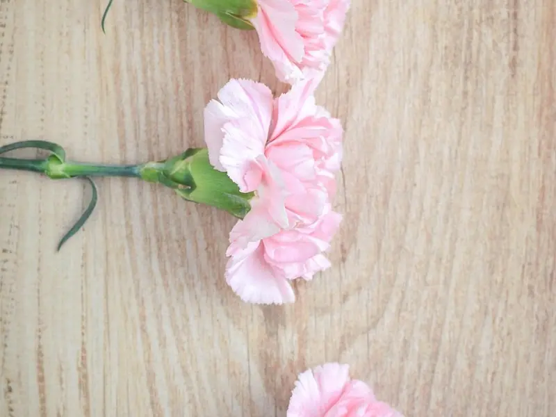 破镜重圆公司导师：挽回丈夫该做的三件事