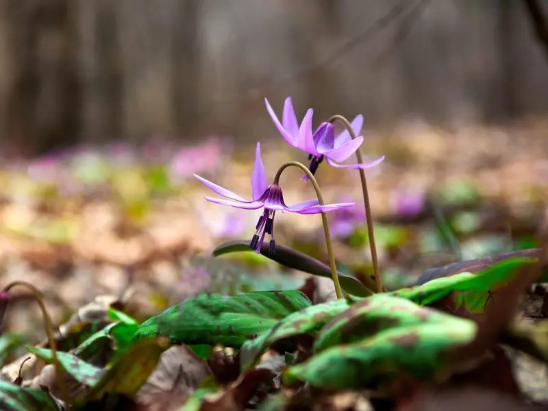 破镜重圆教你如何击退小三：挽回出轨丈夫该如何做