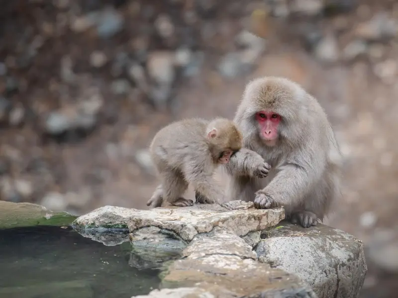 揭露：日本女人不长“色斑”的秘密，原来她们30年来都爱做这事……