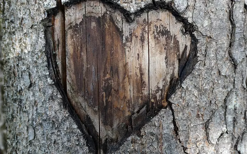 扭转恋爱格局 挽回男友的心