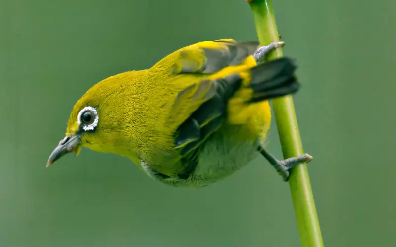 白眼翻到天边！令人无语的10个分手理由