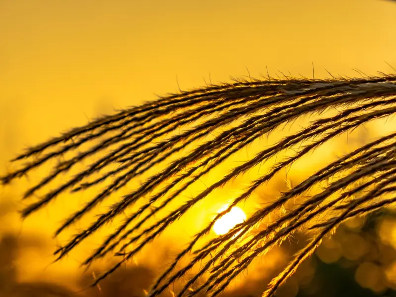 分手后的个性签名伤感