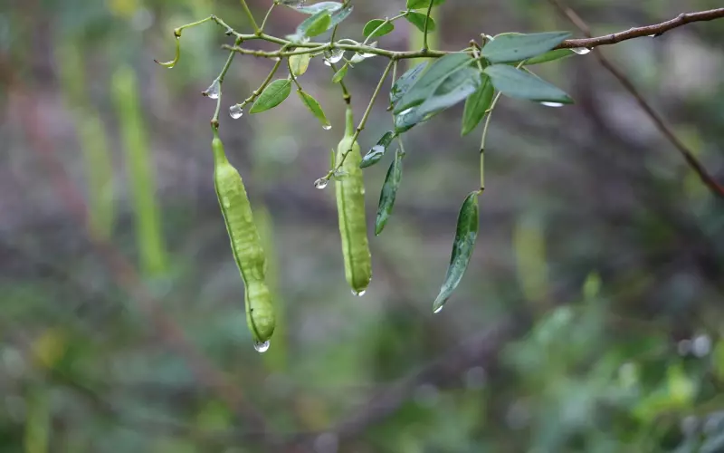 伤感说说：有颗心，伤一伤，就坚强了