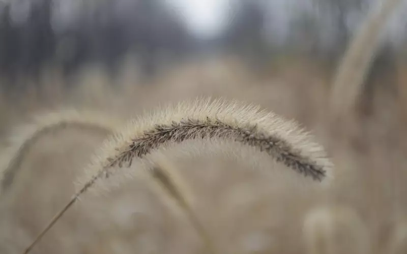 伤感句子，戳痛心坎，句句穿心！