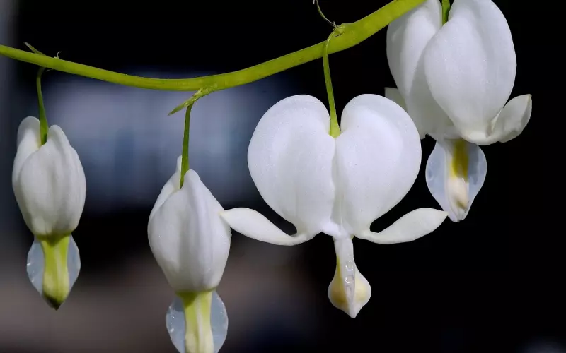 心痛流泪的伤感句子，简短虐心，有故事的人一看就哭