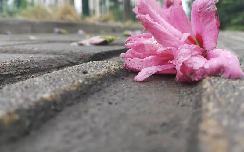 心情不好的伤感心语，伤感走心，从头哭到尾！