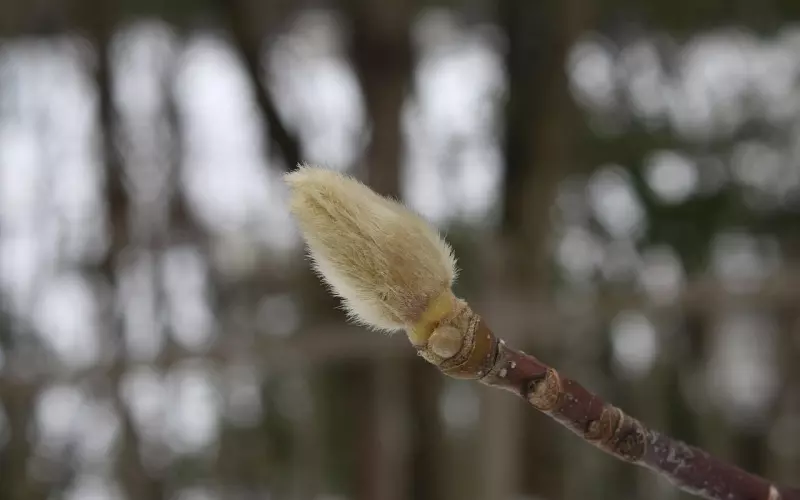 射手座：不为了任何人放弃追求自己的精神世界，遭遇背叛宛如重生