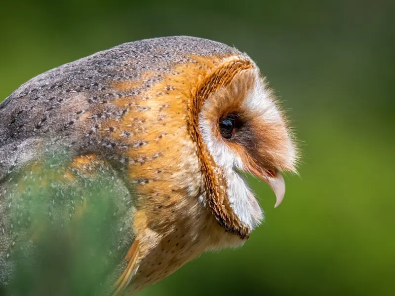 挽回？都离不开这些