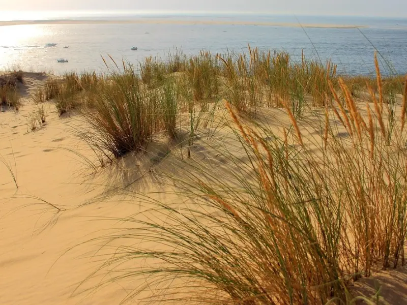 挽回爱情：巧妙地利用《推拉》技巧，让她迷恋你，钟情于你