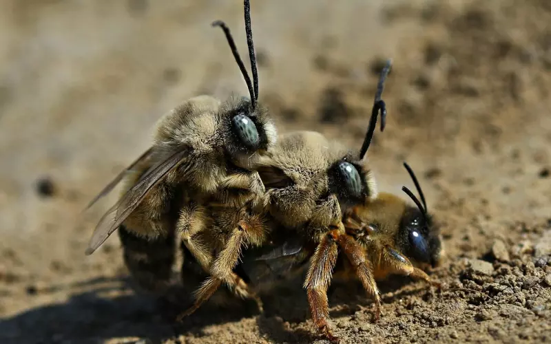 挽回爱情之：实现潜意识对接升华你的爱情