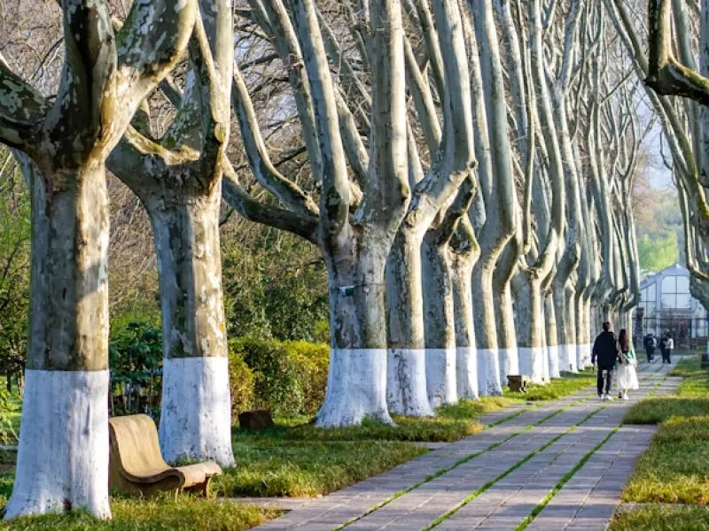 挽回爱情：逆转感情高低位是你挽回的关键