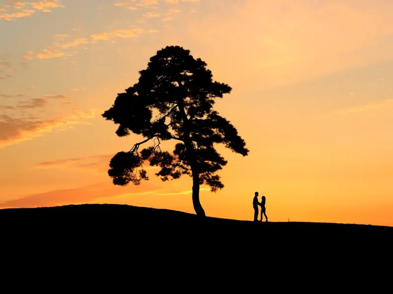 挽回爱情：男人变心了这样可以挽回他