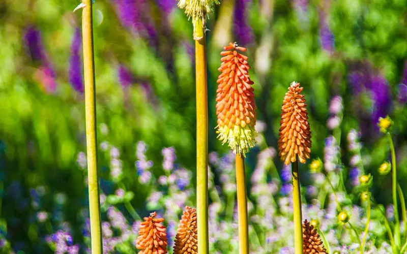 挽回爱情三部曲