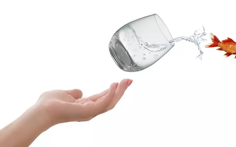 挽回男友 之 这才是他离开你的真实原因