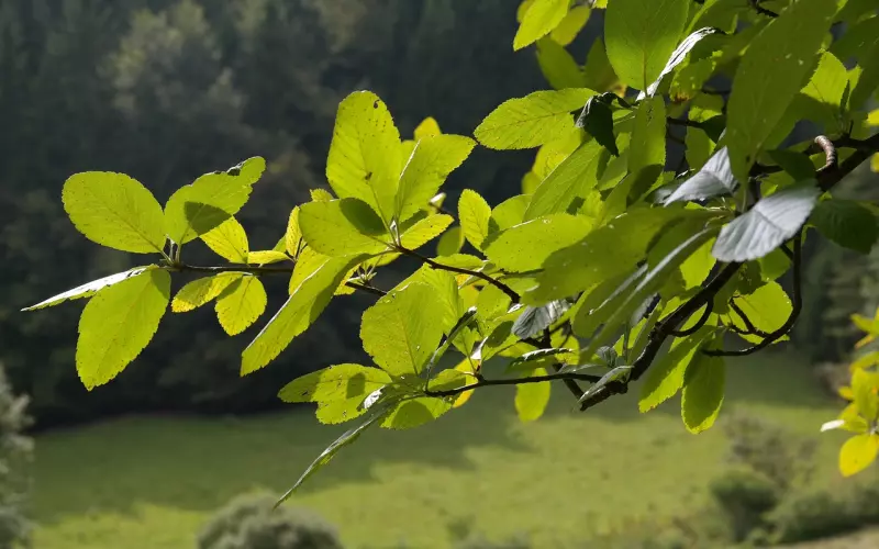 挽回爱情之他跟你分手背后的真正原因