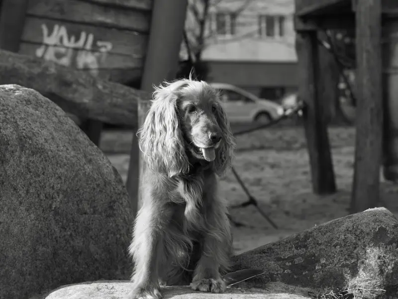 挽救婚姻，婚姻亮起红灯时丈夫可以这样挽回妻子