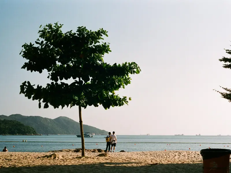 挽救婚姻 | 老公终日沉迷游戏，我该怎么办？