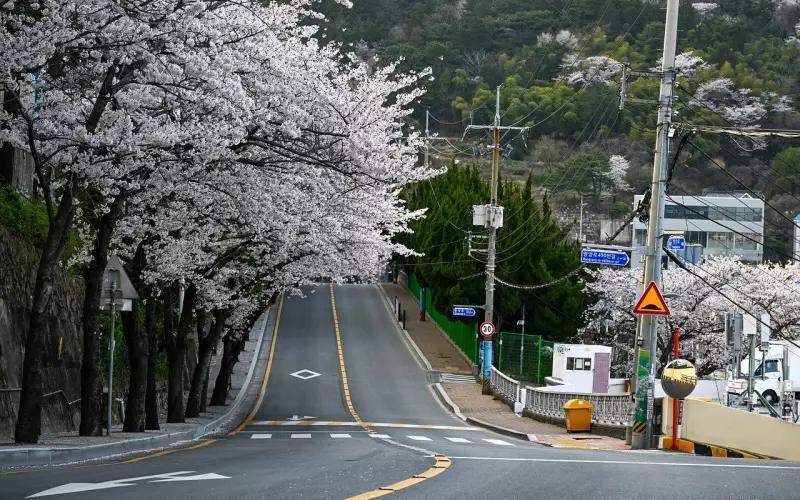 挽回爱情：怎样打破“老婆孕期，男人会出轨”的魔咒