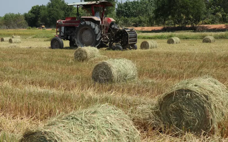 挽回爱情：无论怎么努力挽回，他还是不领情该怎么办？
