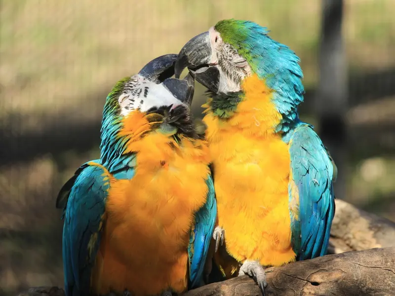 挽回爱情：女友想分手的几大表现