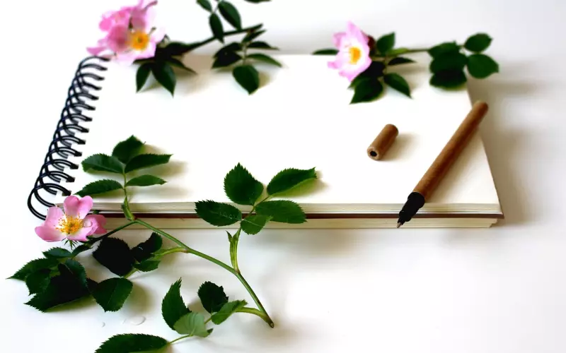 挽回爱情：教你如何写好一封挽回女友的信