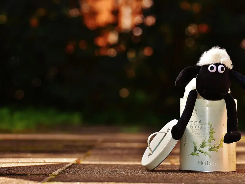 挽回爱情：失恋分手后情感挽回机构到底能够为我们做什么