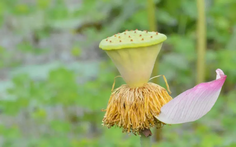 挽回爱情：为什么还没有努力就要放弃，难道TA真的如此不值得你去留恋