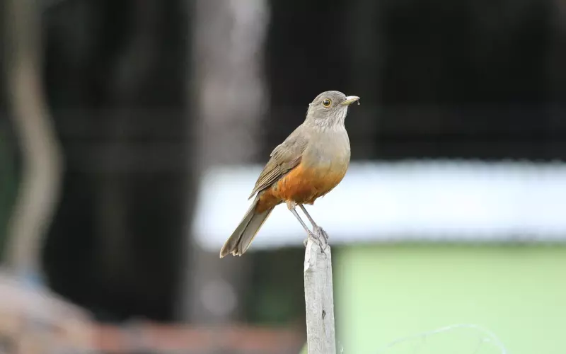 挽回爱情：你一定要知道自己输在什么地方