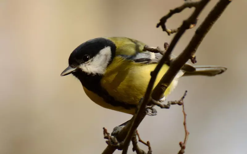 挽回婚姻：从最初的甜蜜发展到现在的针锋相对，怎么挽回老公的心？