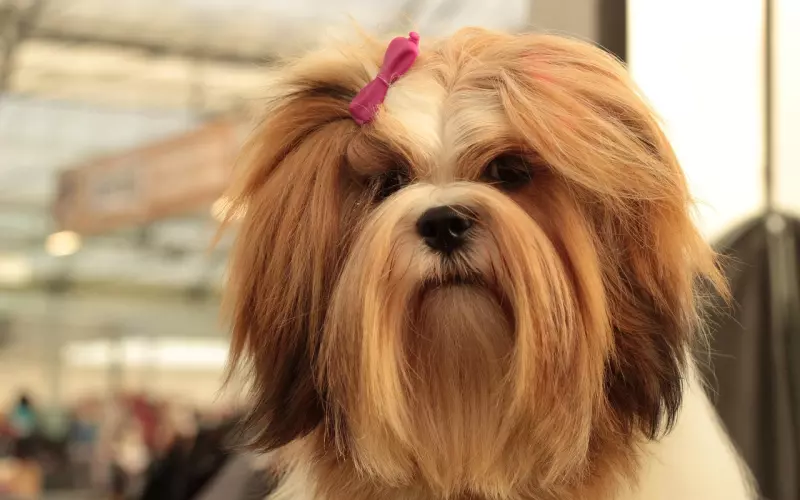 筛选好男人：如何判别男友是长择还是短择？