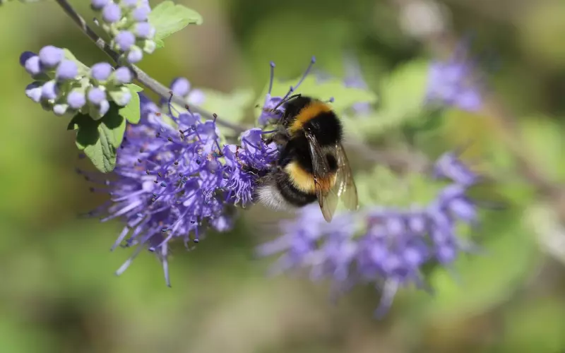 二次吸引法挽回爱情之朋友圈建设