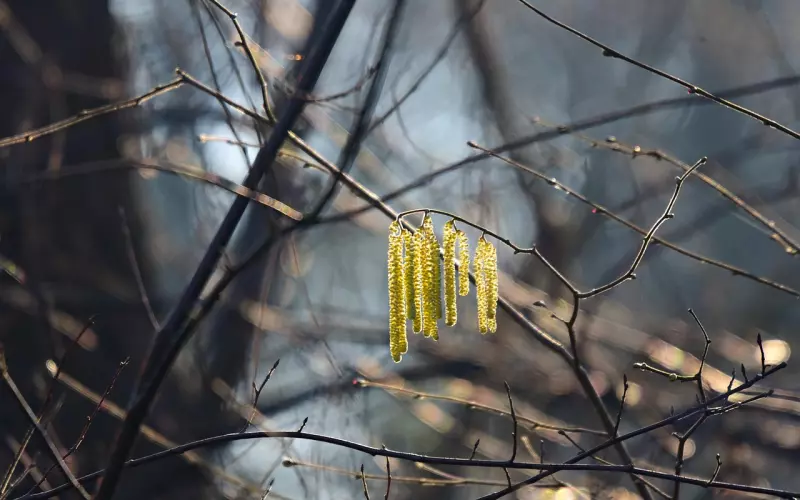 几百元的二手“网恋爱情”，是廉价的“爱情”，更是浮夸的人性