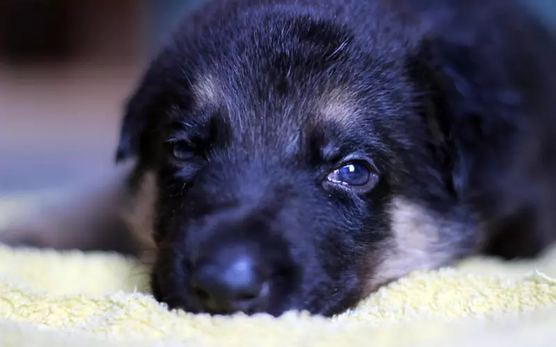 暗恋、分手、遗憾、复婚