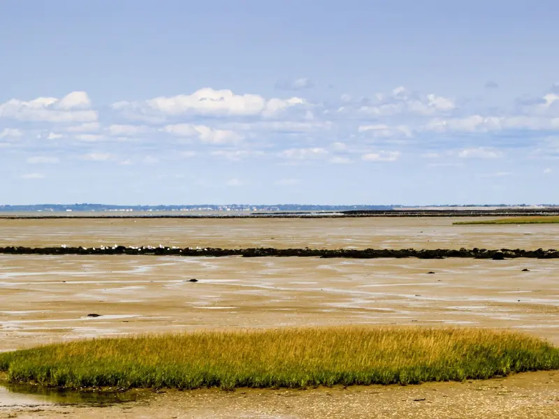 爱情挽回秘籍：这些挽回的话帮你成功挽回前任