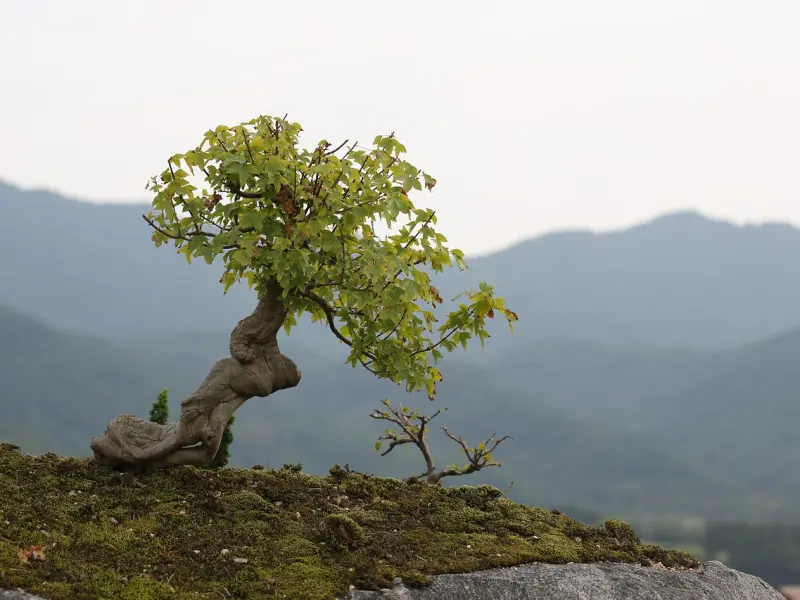 如何挽回男友的秘籍：学会这三招，让前男友主动求你复合