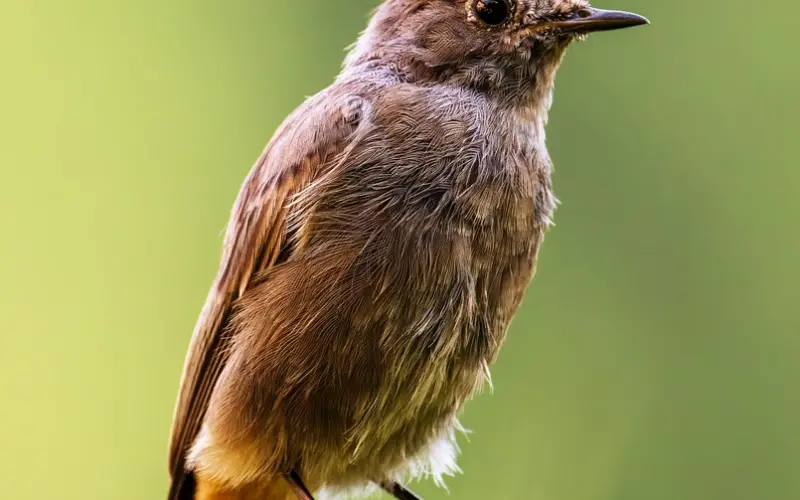 【把妹秘籍】搭讪菜鸟的常见问题