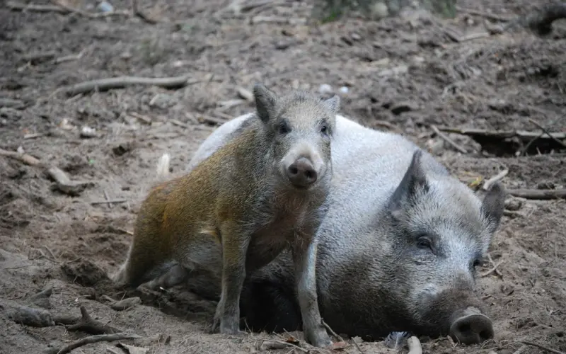 【把妹秘籍】老陈和我——搭讪菜鸟班随感
