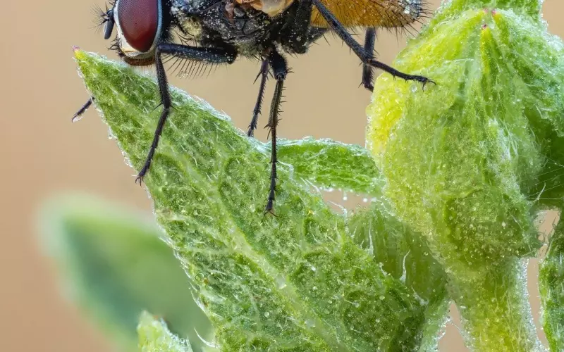 复合男友的秘诀：跟男友复合，挽回男友的三个小妙招