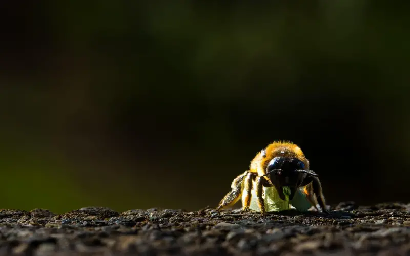 【把妹秘籍】宅男们的“非典型”问题