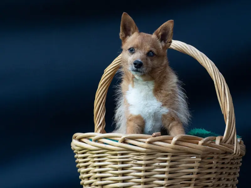 挽回爱情秘籍教你如何挽回爱情的方法