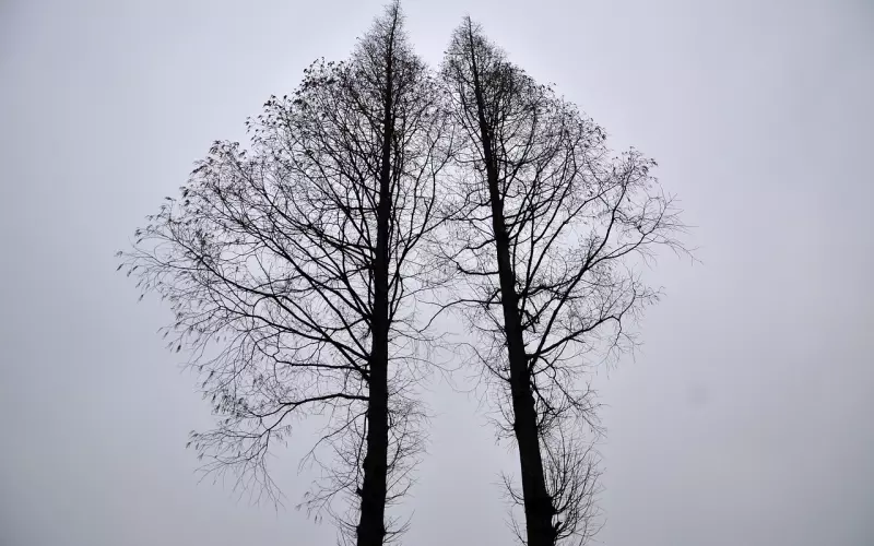 看清出轨的本质，三招挽回老公很简单