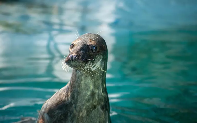 看到前男友很成功 哪些挽回方法更有用