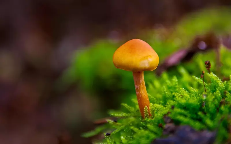 看到前男友很成功 哪些挽回方法更有用