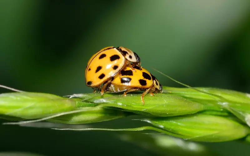 把握挽回男友的最佳时机 分手后仍可以再爱